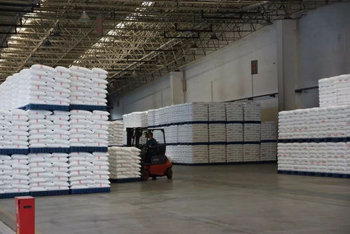 聚丙烯廠圓滿完成上半年生產(chǎn)經(jīng)營任務(wù)