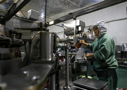 新春伊始生產(chǎn)忙