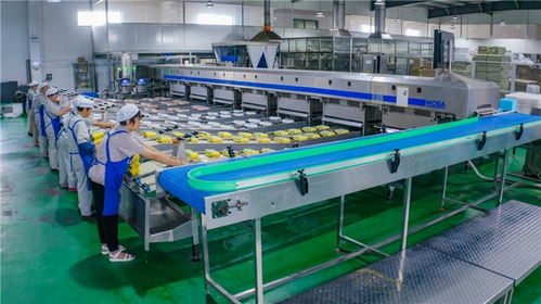 從婷婷農副產品產銷模式,窺見海安禽蛋養殖一體化的奧秘