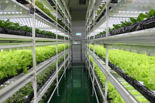 中國人的農業情懷 未來農業是什么樣的