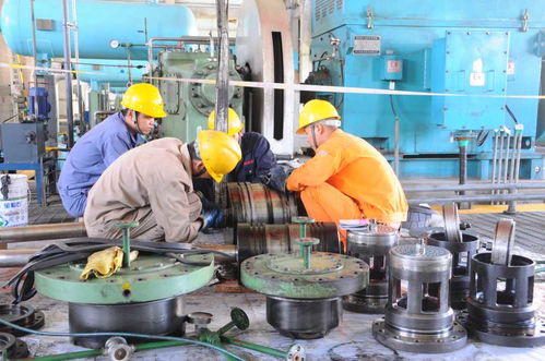 河南安陽(yáng)殷都區(qū) 不負(fù)春光 搶抓生產(chǎn)